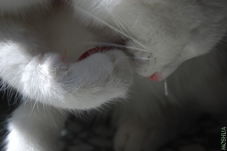 DSC_0188_����.jpg