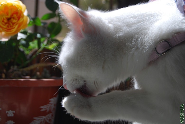 DSC_0186_����.jpg