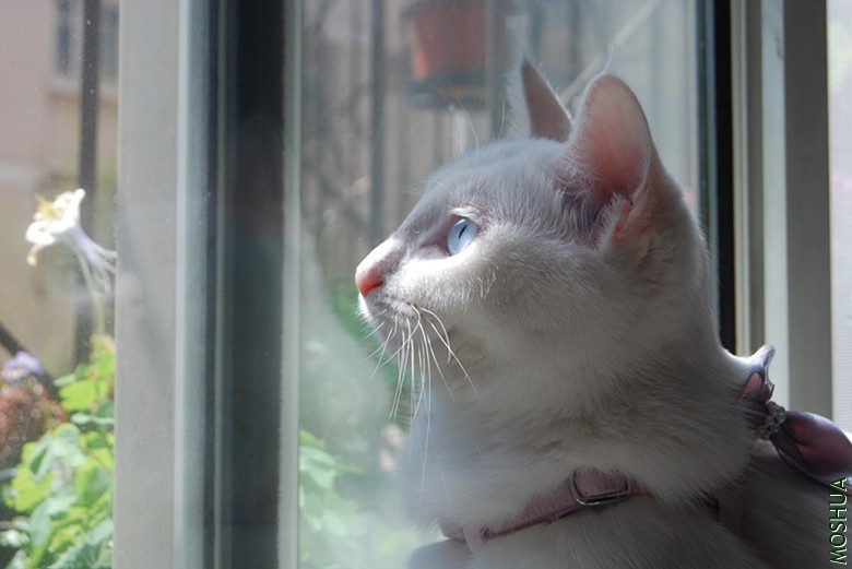 DSC_0152_����.jpg
