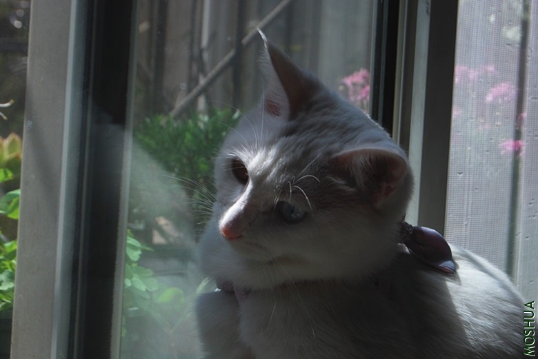 DSC_0151_����.jpg