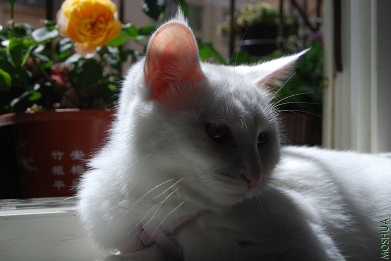 DSC_0148_����.jpg