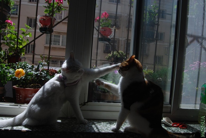 DSC_0150_����.jpg