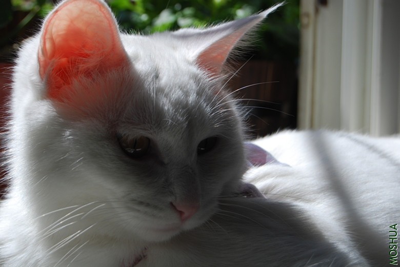 DSC_0142_����.jpg