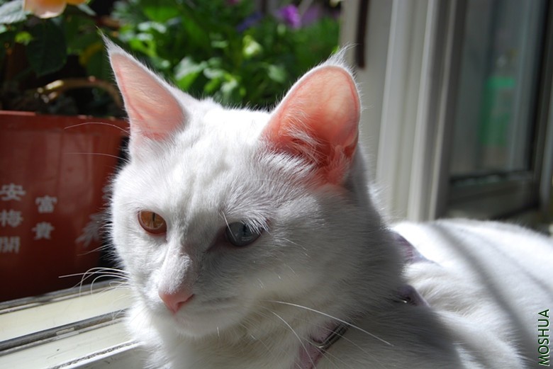 DSC_0143_����.jpg