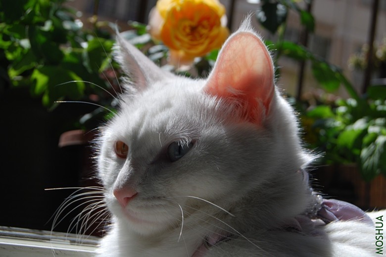 DSC_0141_����.jpg