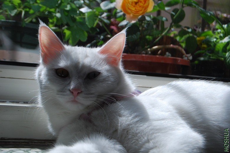 DSC_0138_����.jpg