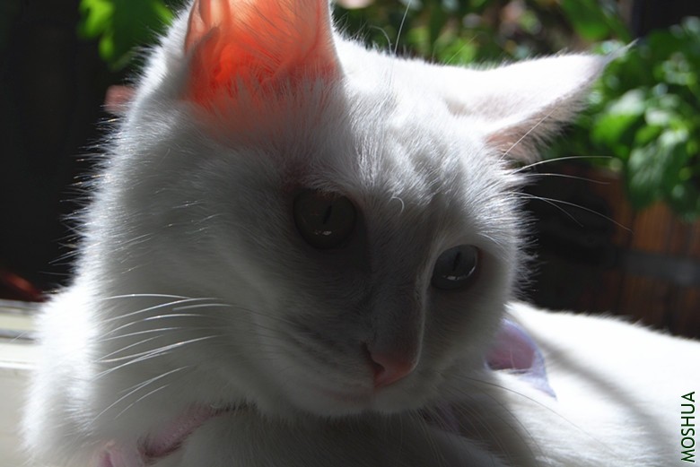 DSC_0140_����.jpg