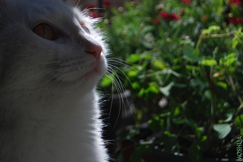 DSC_0072_����.jpg