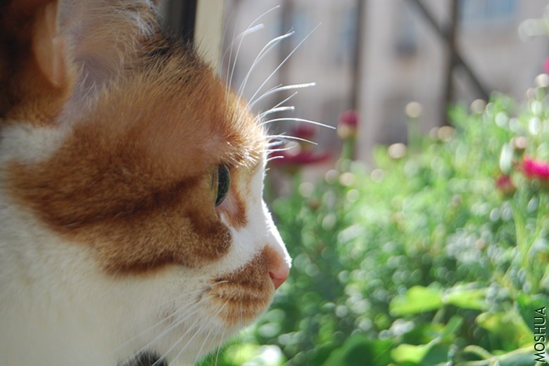 DSC_0061_����.jpg