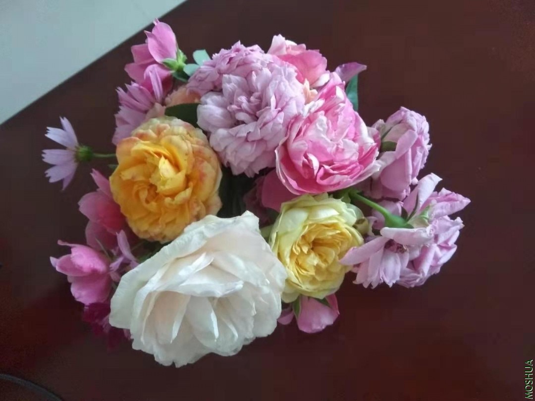 ΢��ͼƬ_20190813152435.jpg