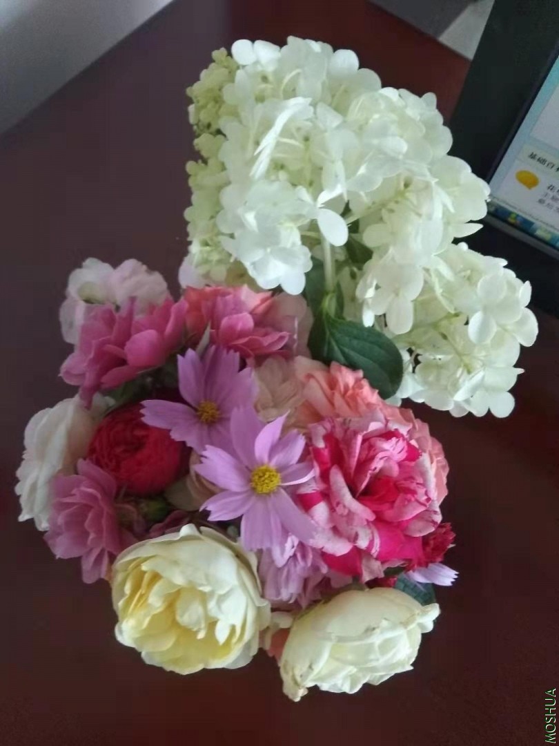΢��ͼƬ_20190813152444.jpg