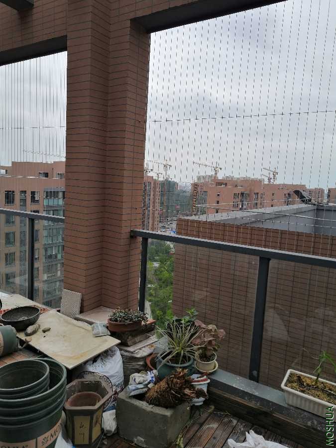 IMG_20190811_123118.jpg
