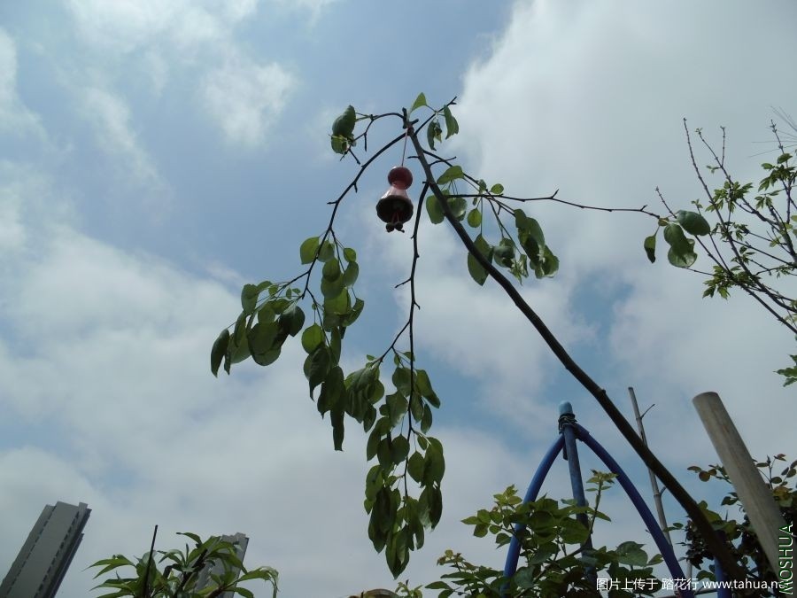 140836da5kw3dpswwdpyyp.jpg