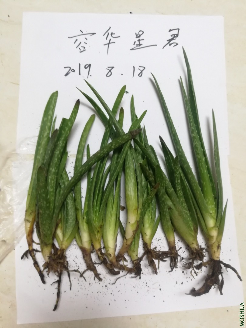 ΢��ͼƬ_20190819184654.jpg