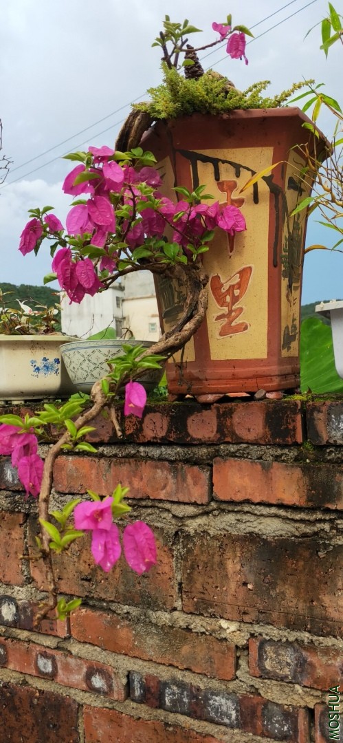 QQͼƬ20190819185804.jpg
