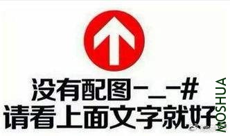 007VDttXgy1g5mvhgzrh3j309805gweh.jpg
