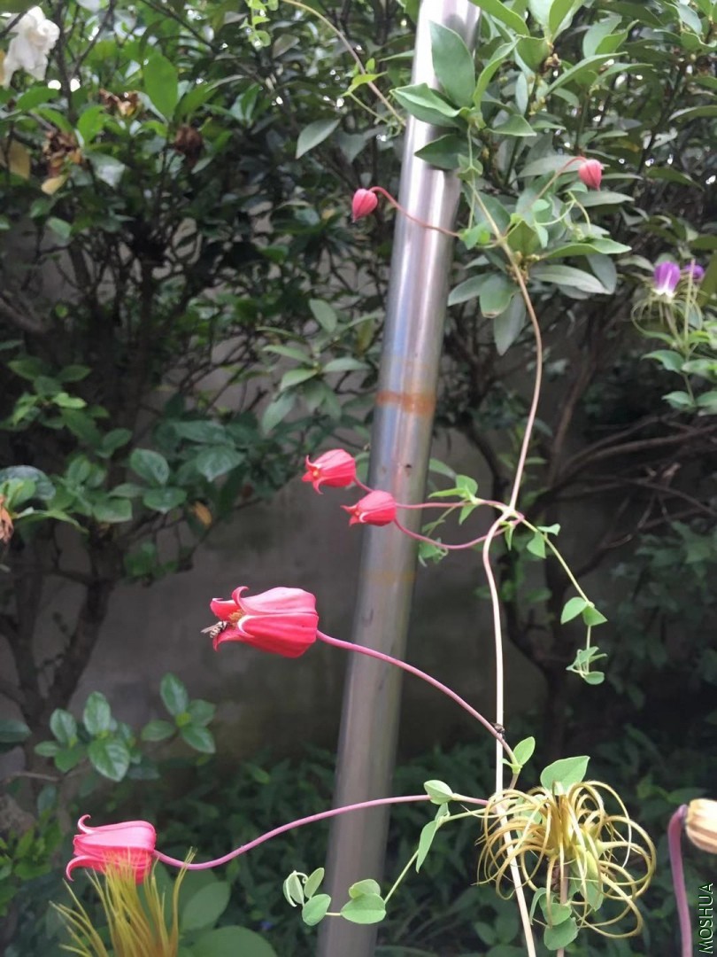 ΢��ͼƬ_20190823122717.jpg