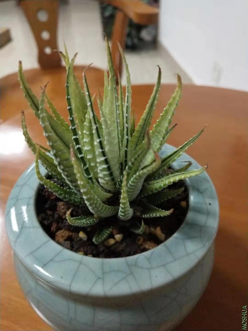 ΢��ͼƬ_20190823213708.jpg