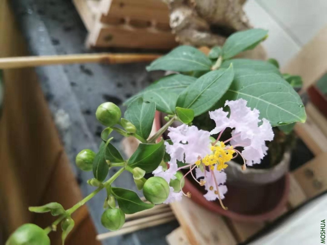 ΢��ͼƬ_20190826115118.jpg