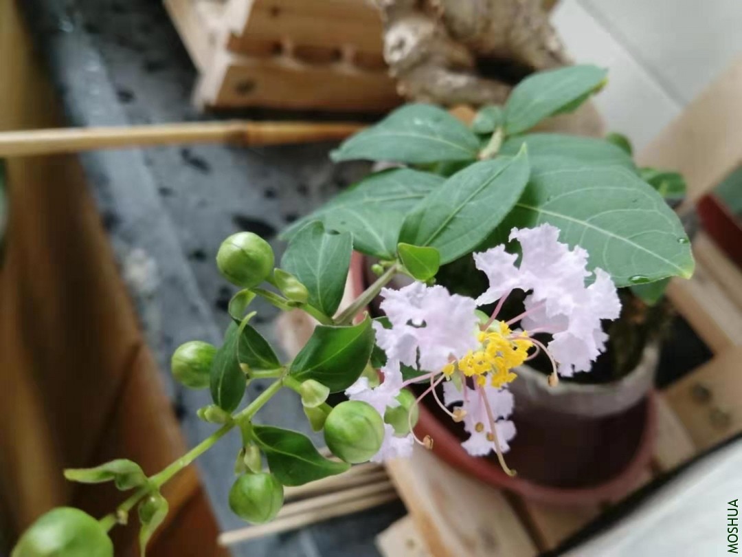 ΢��ͼƬ_20190826115127.jpg
