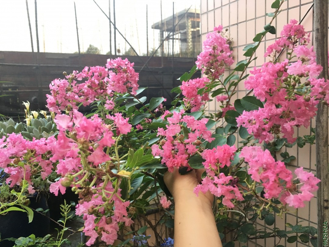 20190826135624.jpg