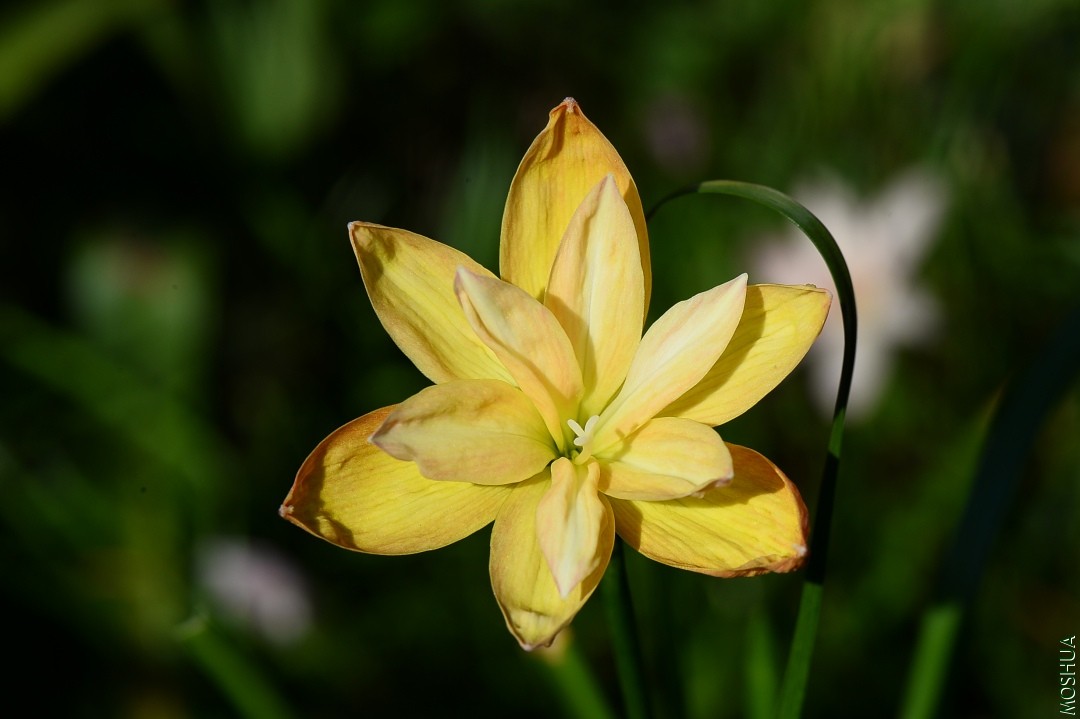 DSC_1023.JPG