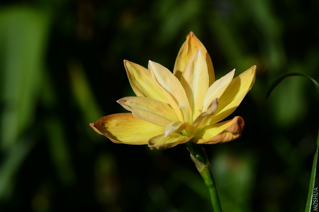 DSC_1031.JPG
