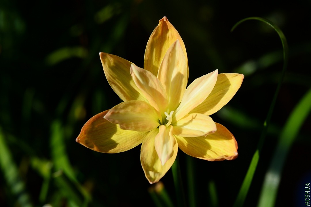 DSC_1035.JPG