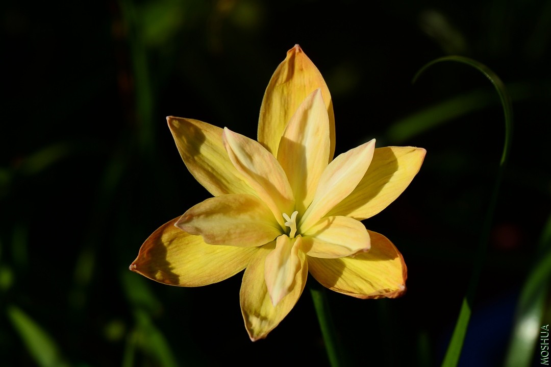 DSC_1046.JPG
