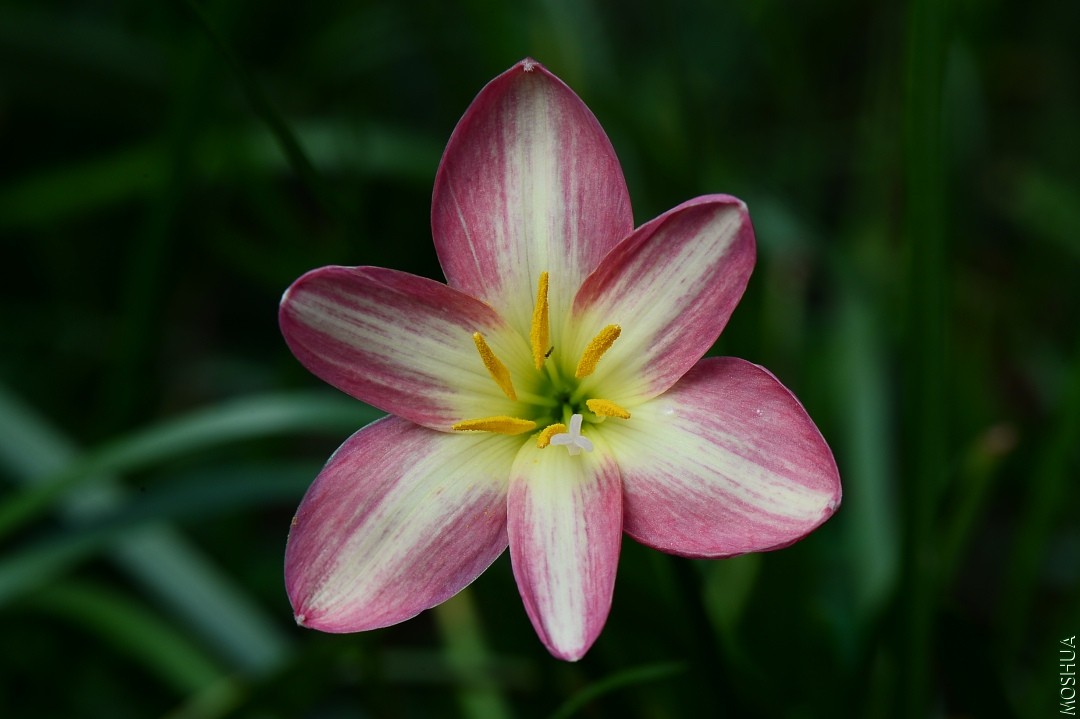DSC_1084.JPG