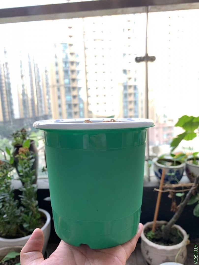 ΢��ͼƬ_20190828082921.jpg