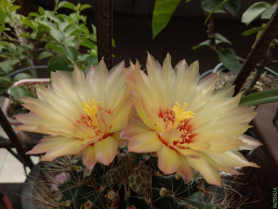 IMG20190828135628.jpg