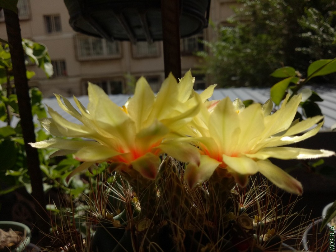 IMG20190827130814.jpg