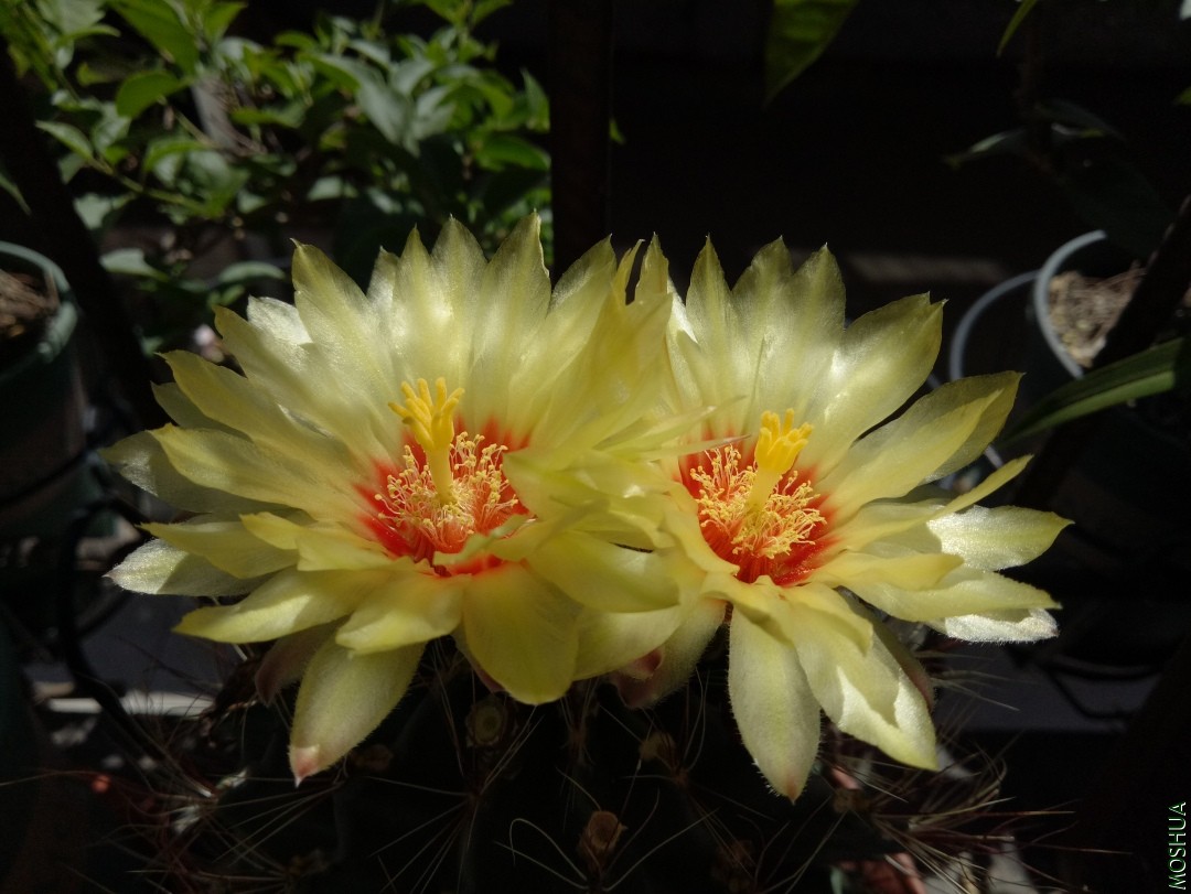 IMG20190827130756.jpg