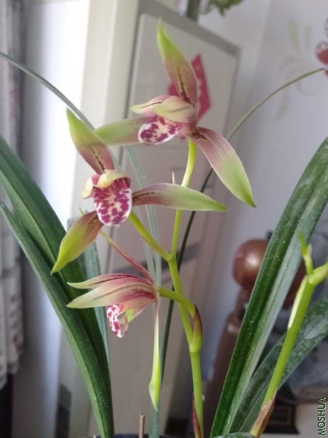 IMG20190828105445.jpg