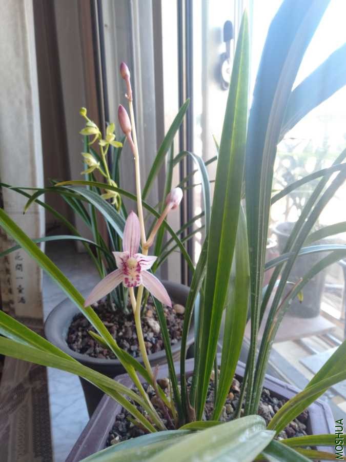 IMG20190829092030.jpg