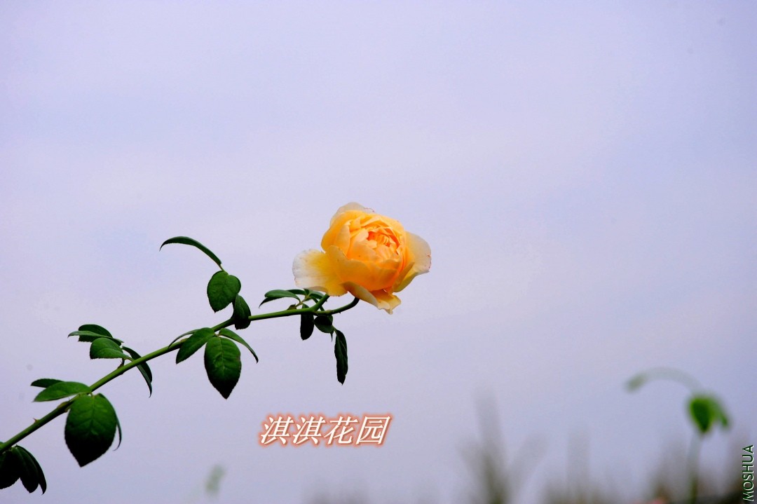 012_����.jpg