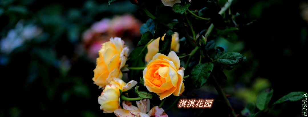 070_����.jpg