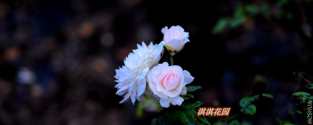 071_����.jpg