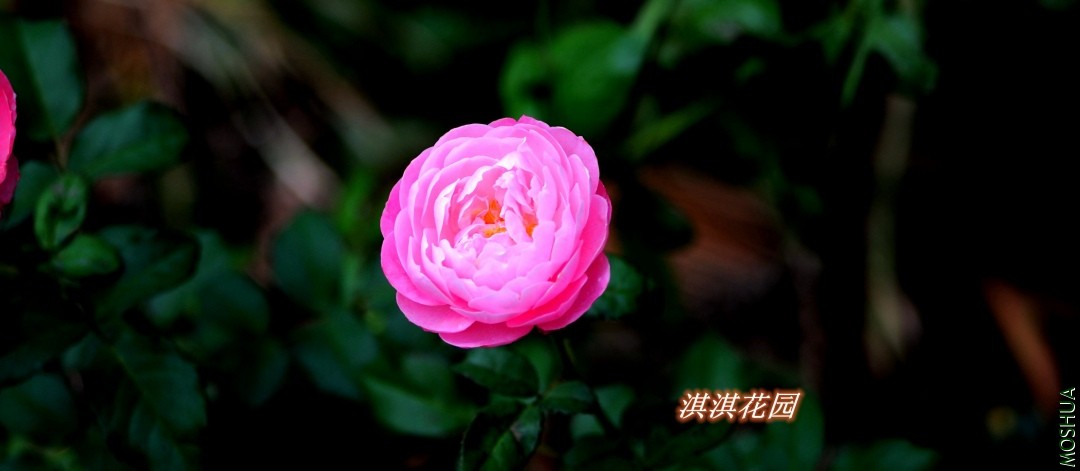 073_����.jpg