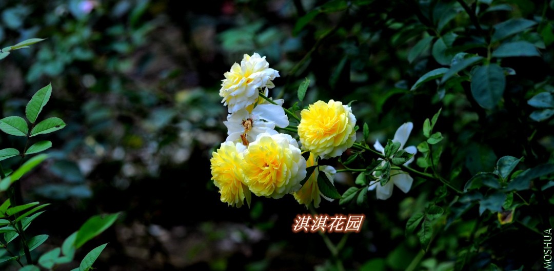 080_����.jpg