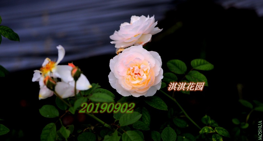 087_����.jpg