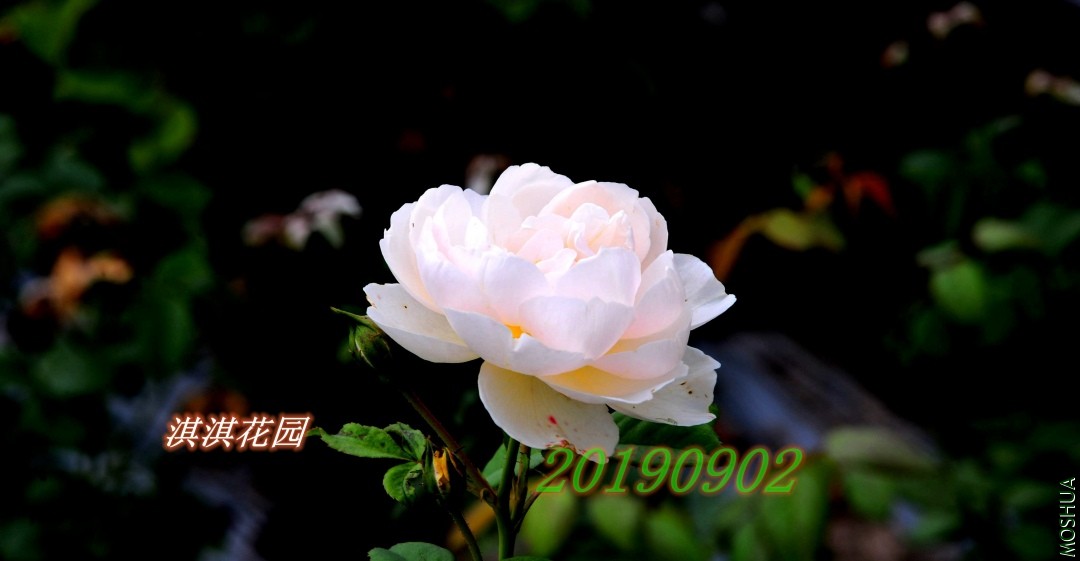 090_����.jpg