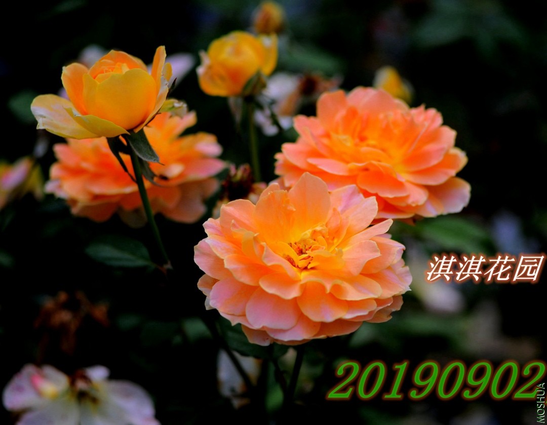 118_����.jpg