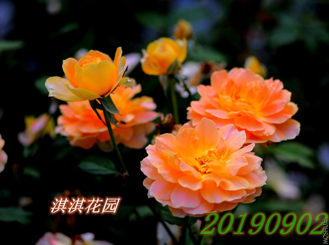 119_����.jpg