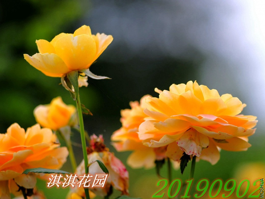152_����.jpg