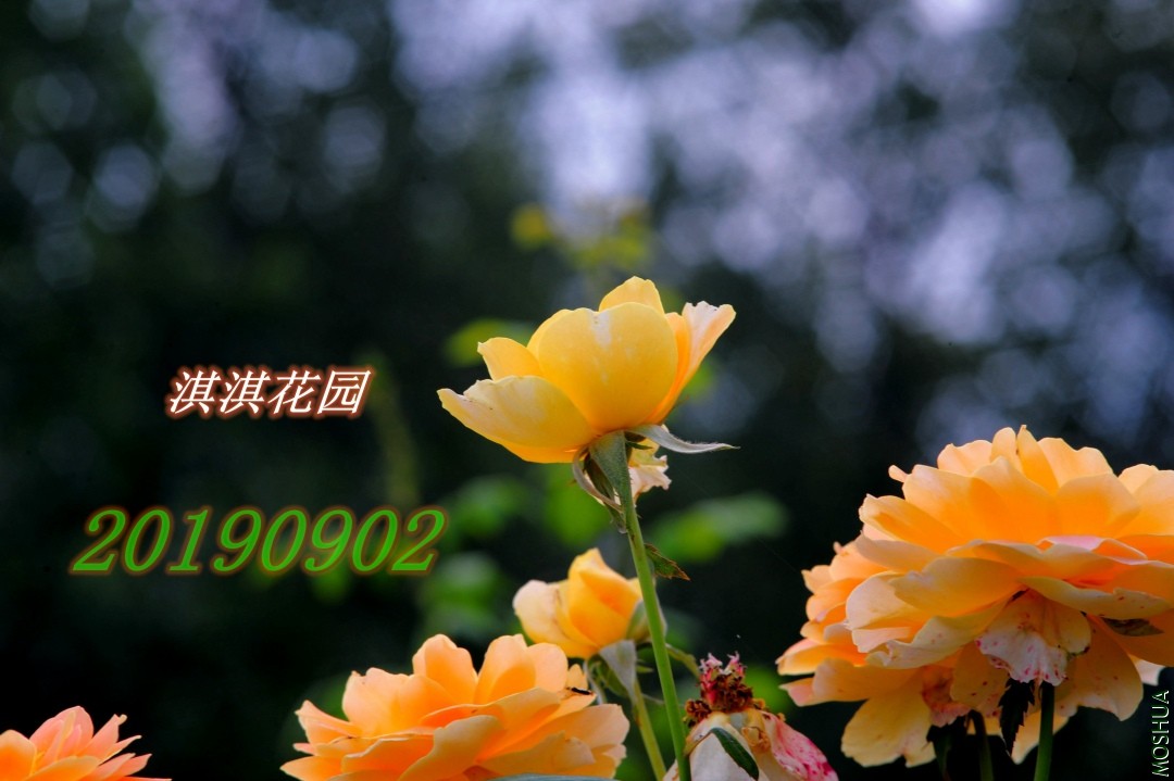159_����.jpg