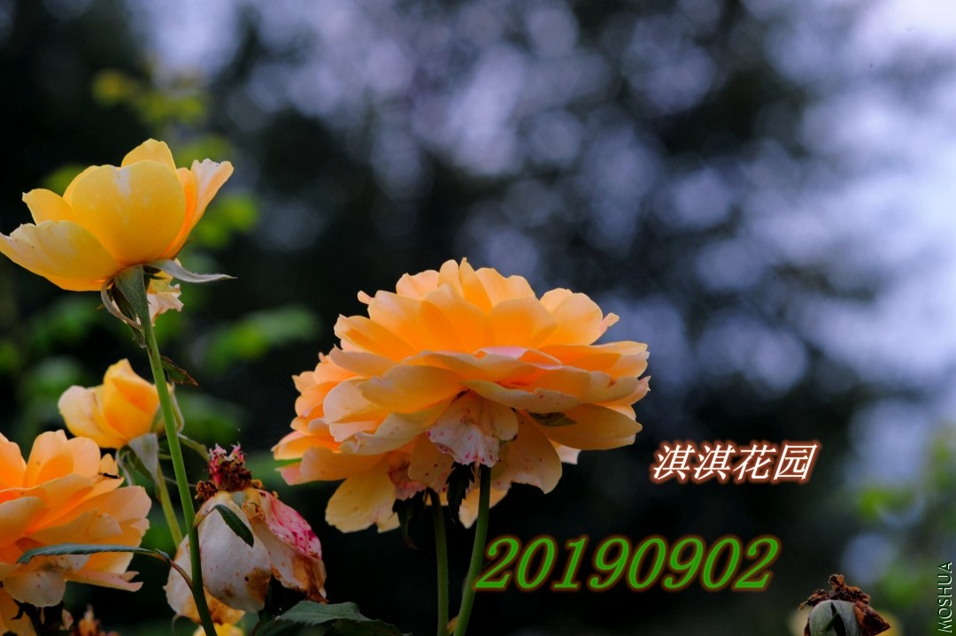 161_����.jpg