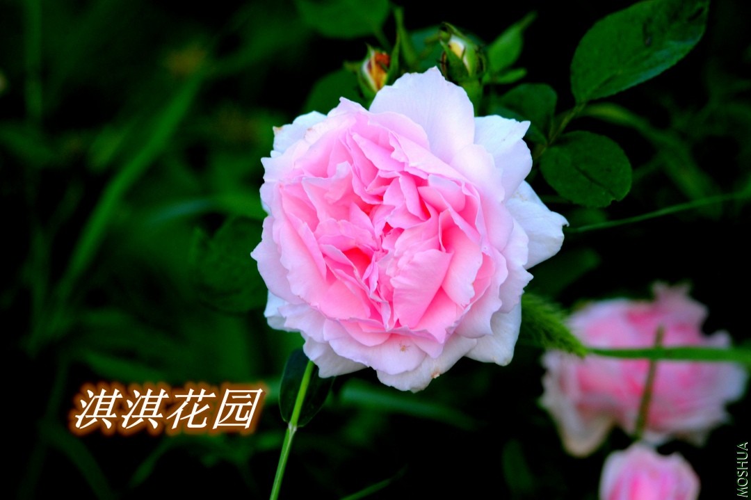 030_11����.jpg
