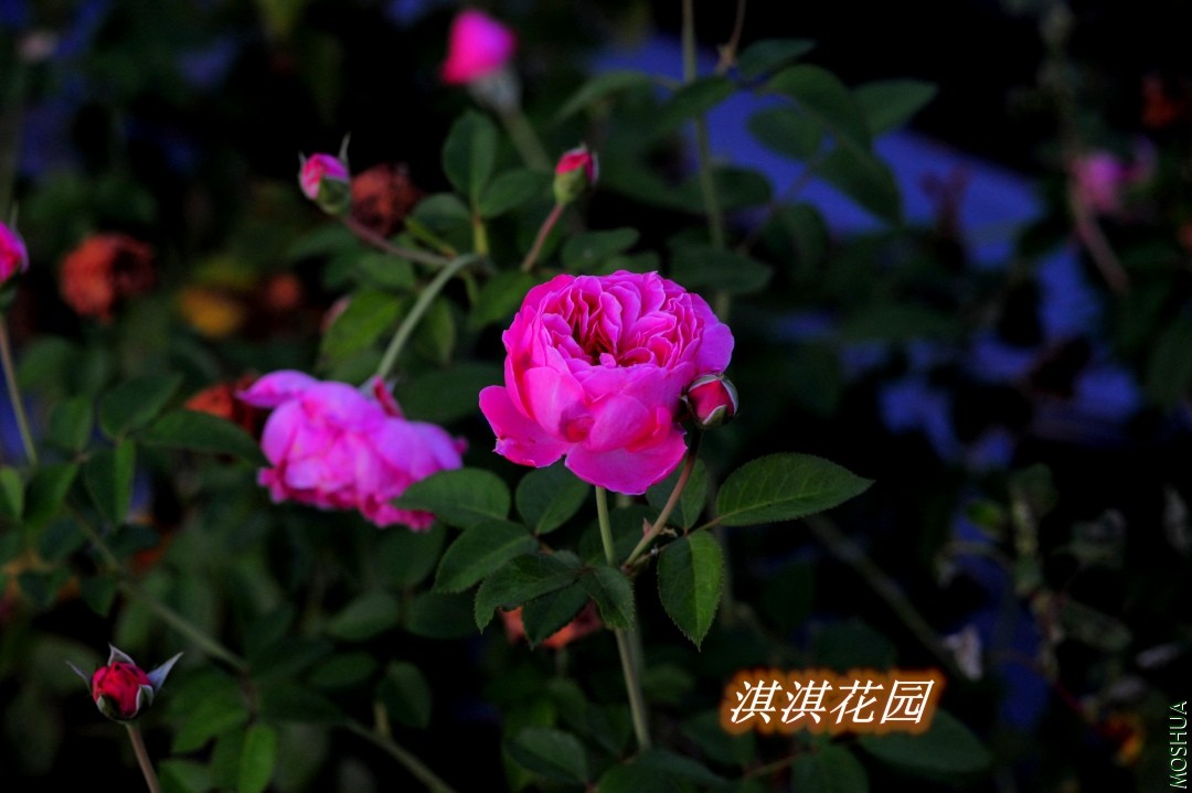 059_����.jpg